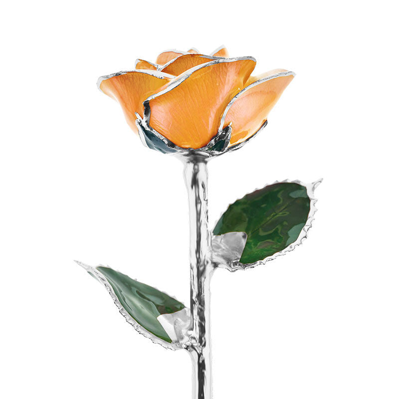 Platinum on sale Rose