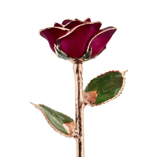 Red Wine Rose Gold Dipped Rose