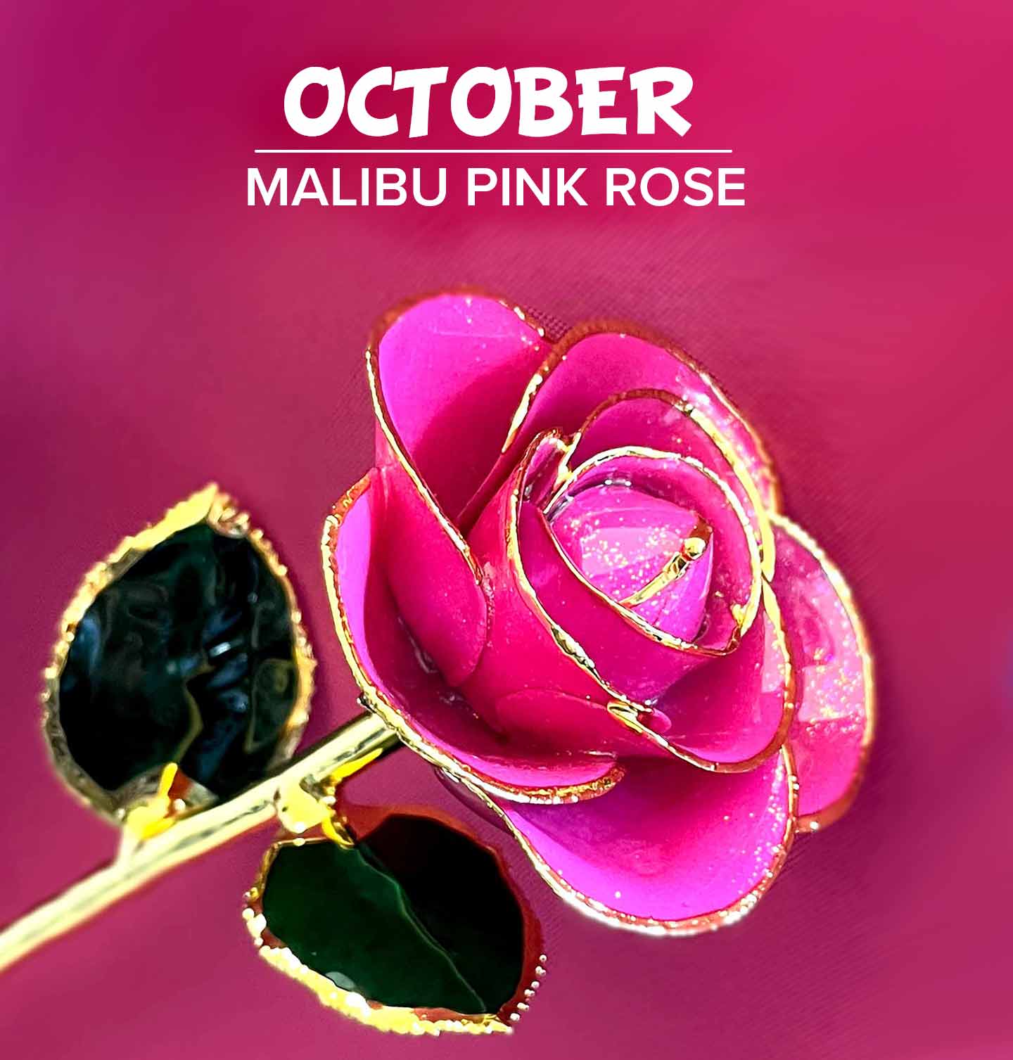 Our Malibu Pink Gold Dipped Rose for October birthdays for Tourmaline birthstones.