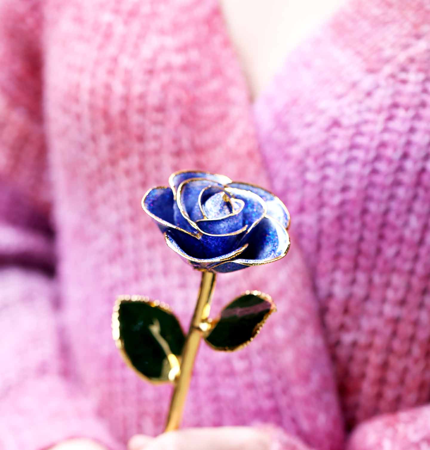 A woman in a pink sweater holding a sparkle purple 24 karat gold dipped rose.