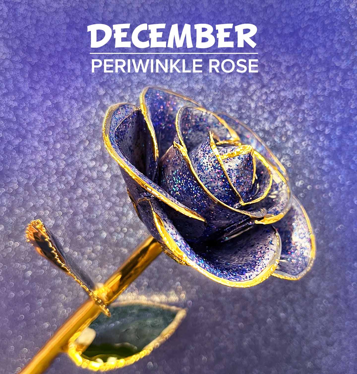 Our Periwinkle 24 Karat Gold Dipped Rose for December birthdays for Topaz birthstones.