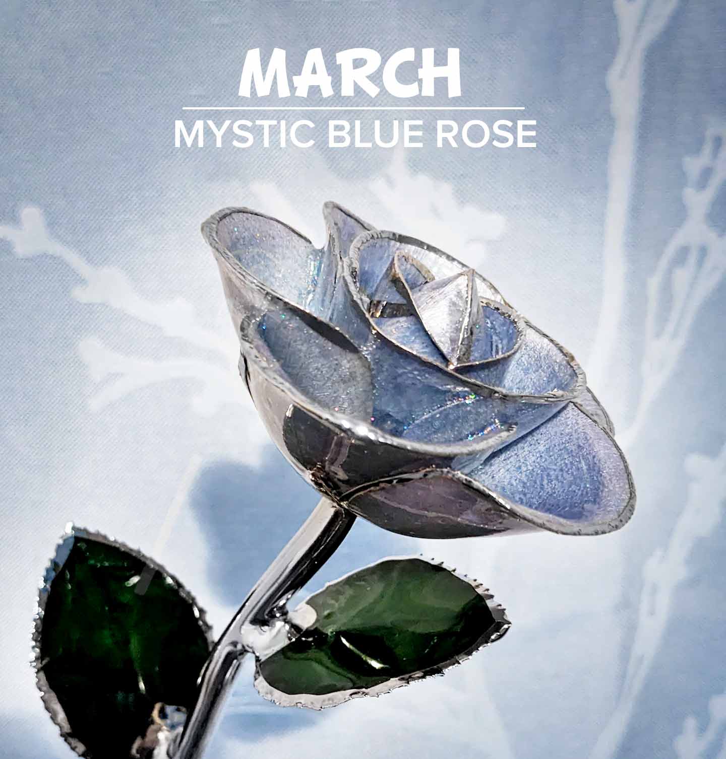 Our Mystic Blue Platinum Rose for March birthdays that are Aquamarine birthstones.