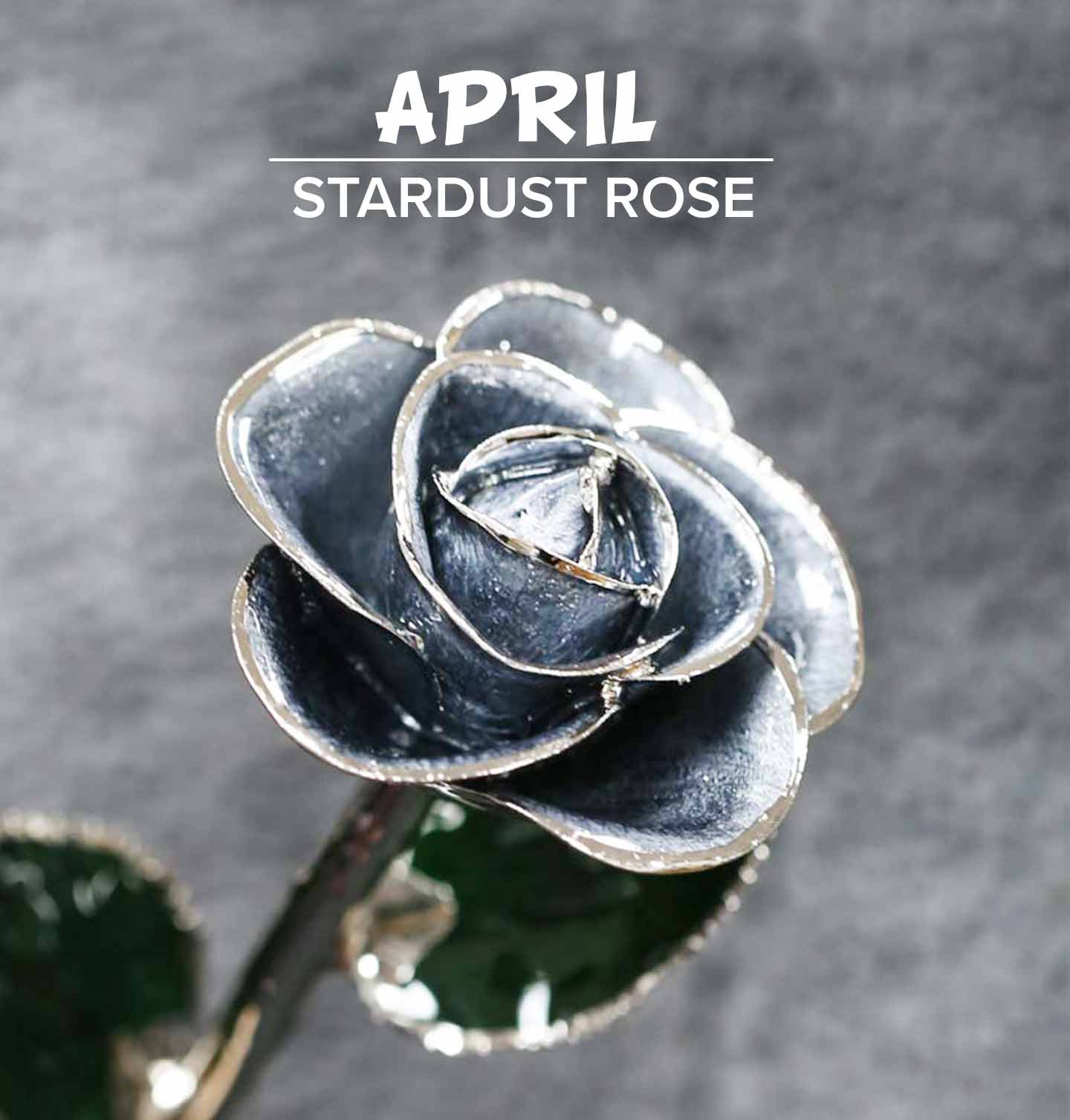 Our Stardust Platinum Rose for April birthdays that are diamond birthstones.