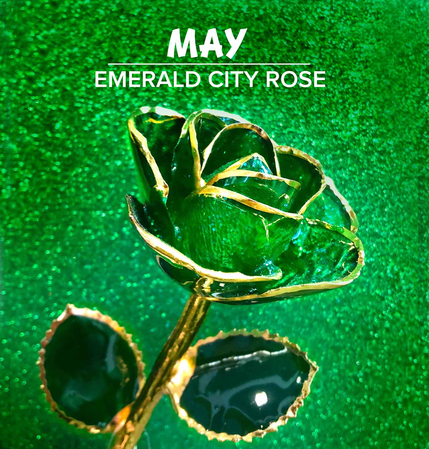 Our Emerald City 24 Karat Gold Dipped Rose for May birthdays that are Emerald birthstones.