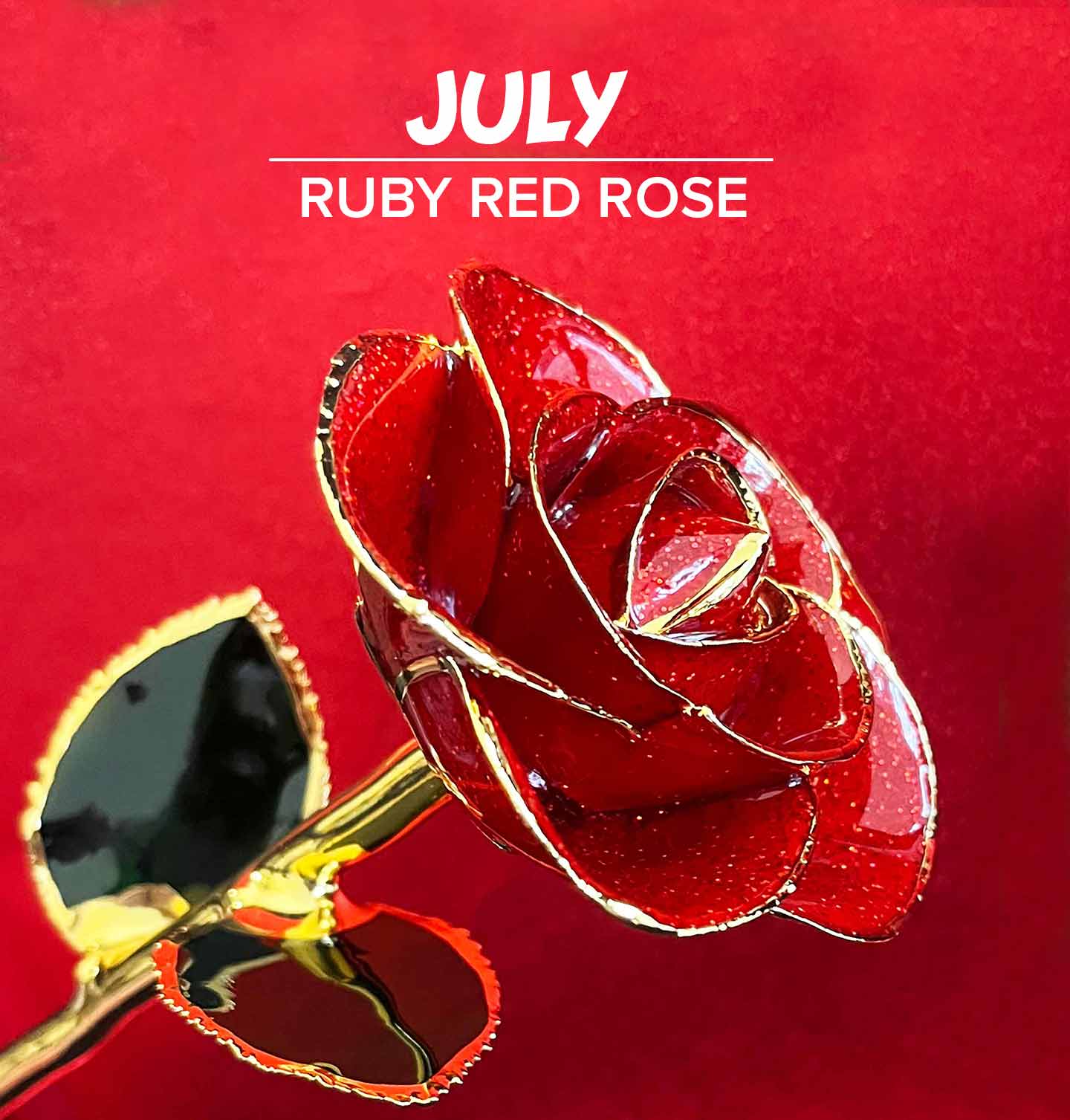 Our Ruby Red 24 Karat Gold Dipped Rose for July birthdays for Ruby birthstones.