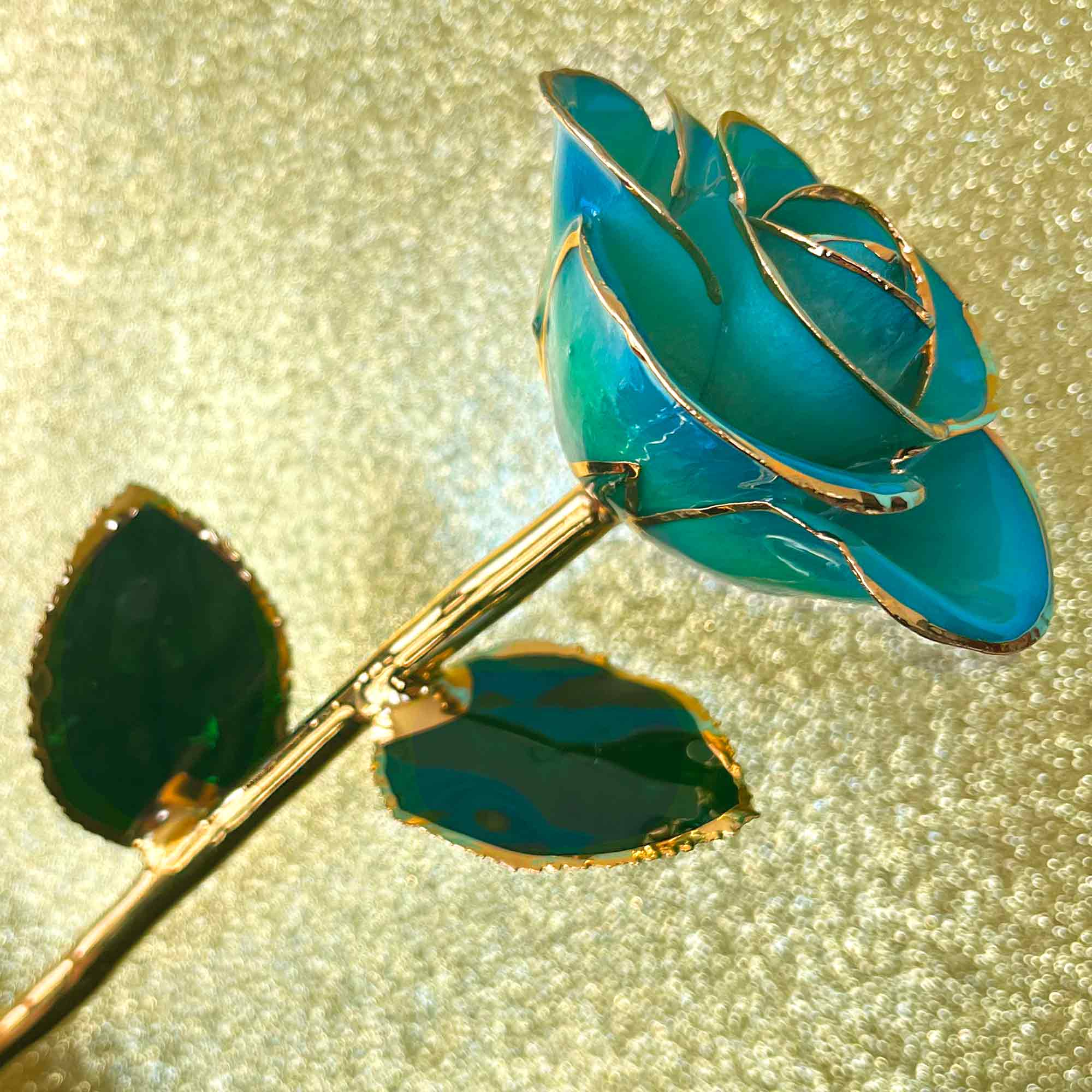 Peacock Teal 24kt Gold Dipped Rose