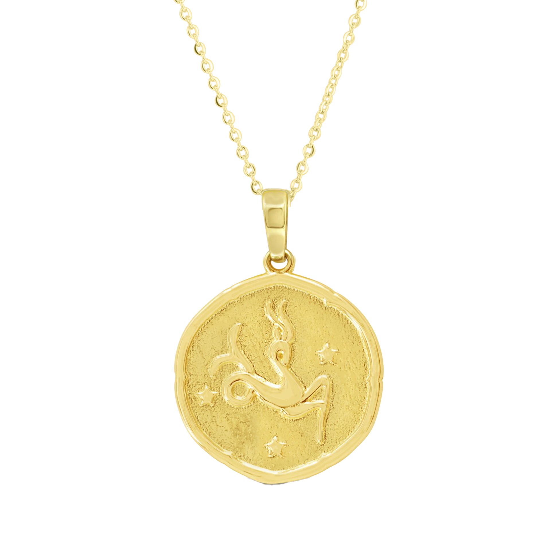 Written in the Stars Zodiac Gold Necklace