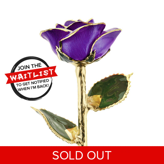 Purple Passion 24kt Gold Dipped Rose