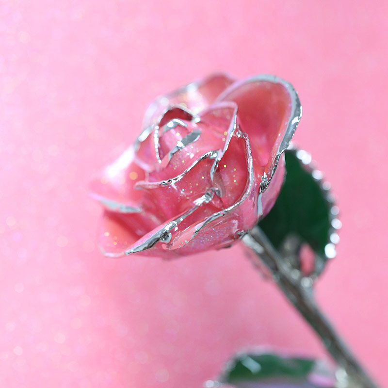 Platinum Pink Champagne Rose – Steven Singer Jewelers